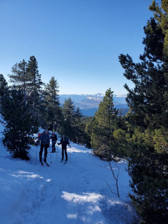 photo 251314121_121a