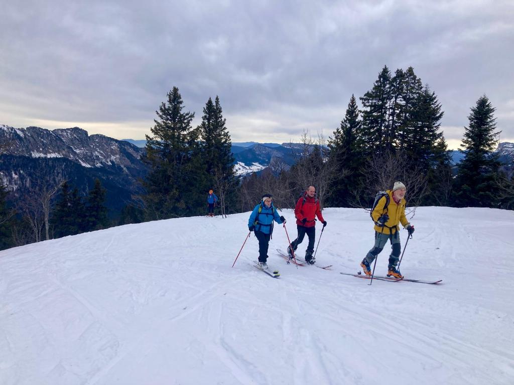 photo 260218121_121a