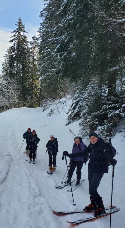 photo 260225121_121a