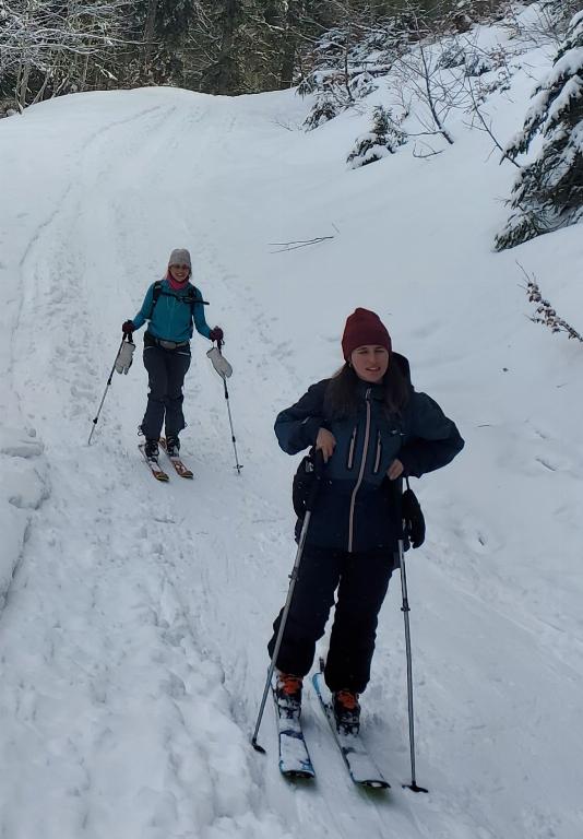 photo 260225121_121c