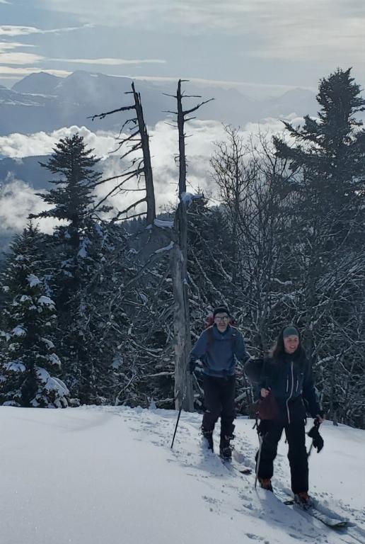 photo 260225121_121f