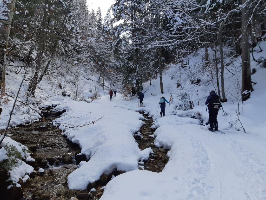 photo 260225121_121i