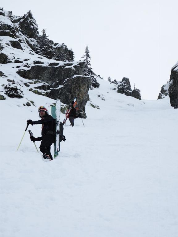 photo 260225129_129c