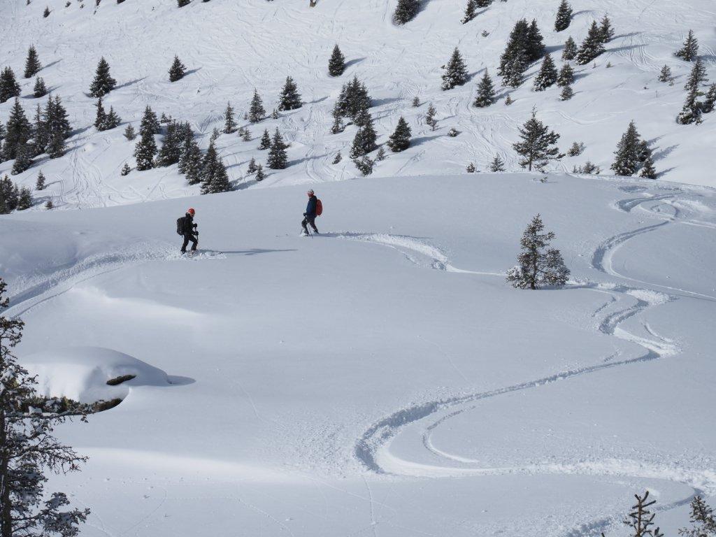 photo 260225129_129e