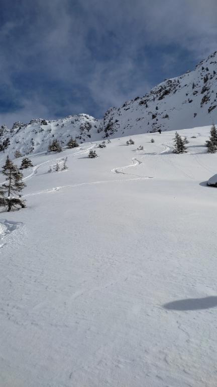 photo 260225129_363f