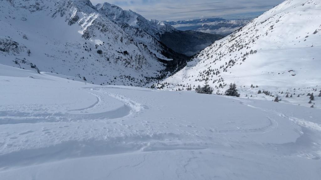 photo 260225129_363g