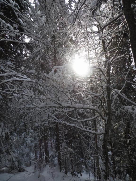 photo 260231129_129a