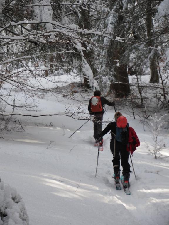 photo 260231129_129b