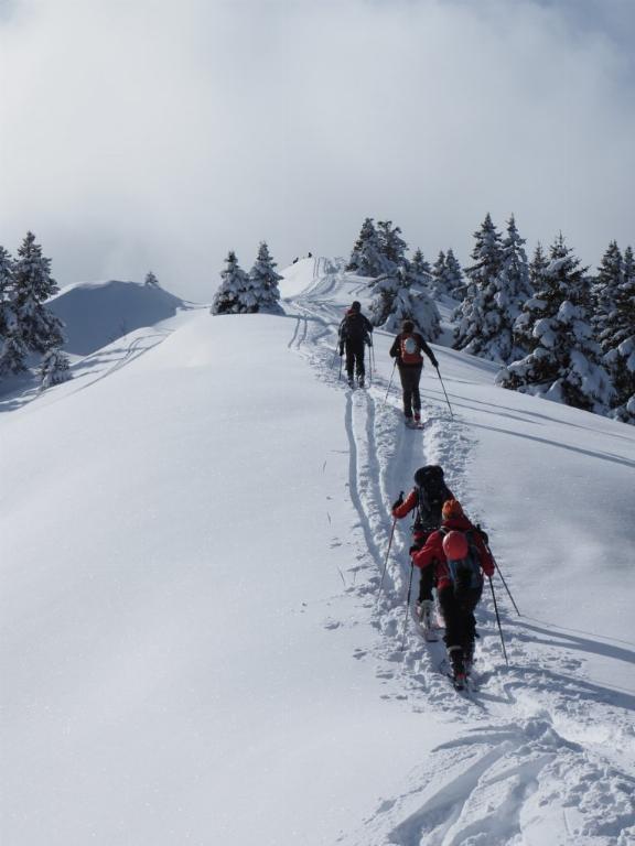 photo 260231129_129d