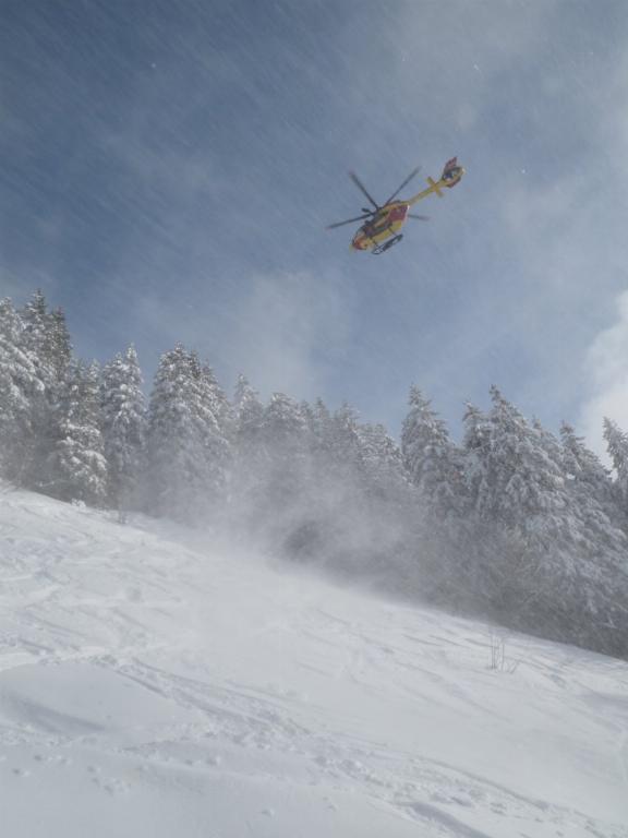 photo 260231129_129f