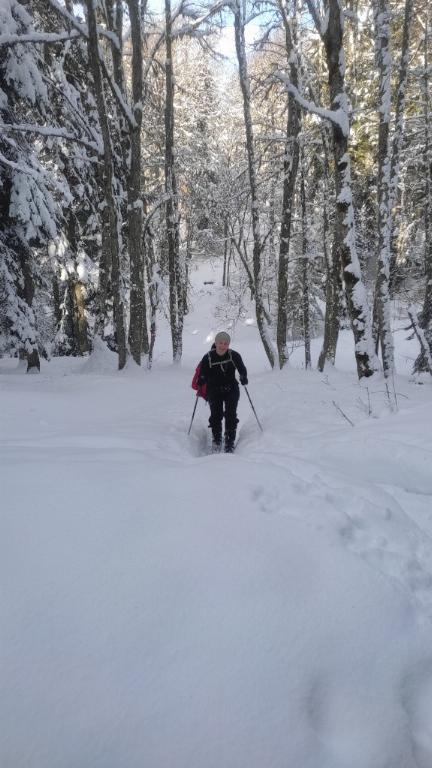 photo 260231129_129g