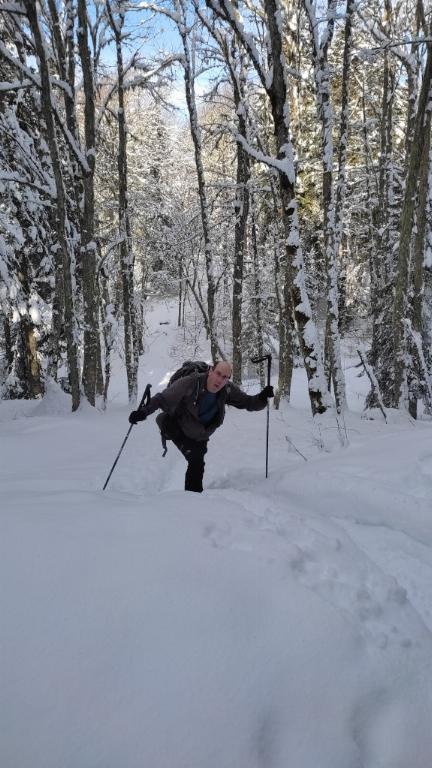 photo 260231129_129h