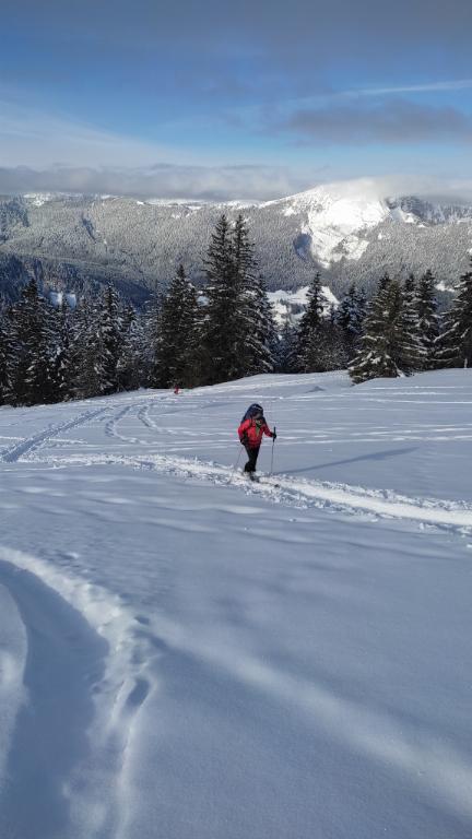 photo 260231129_129i