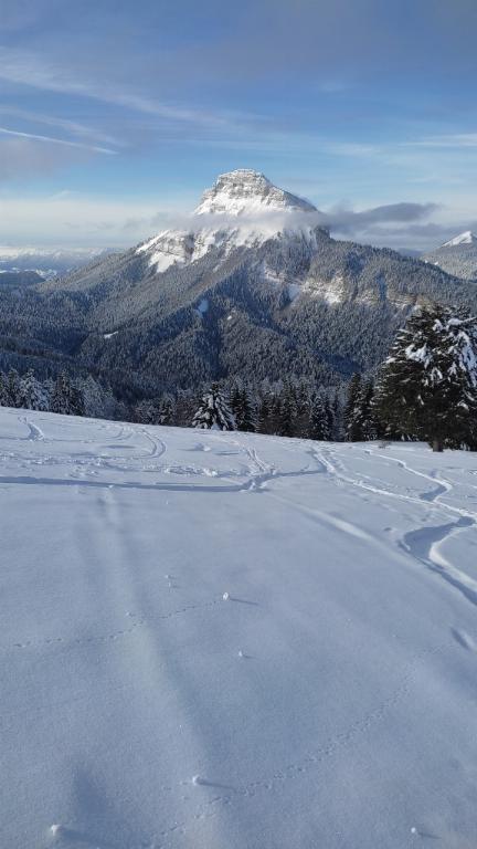 photo 260231129_129j