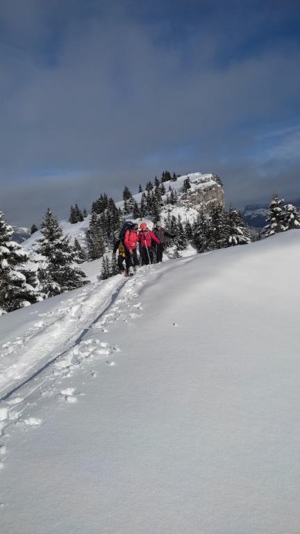 photo 260231129_129k