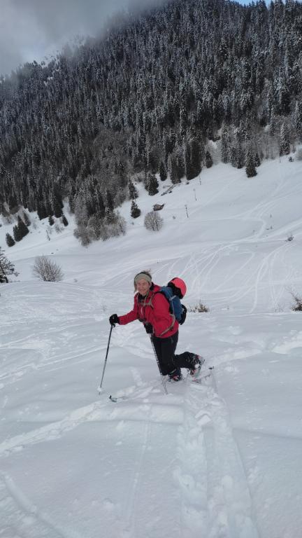 photo 260231129_129l