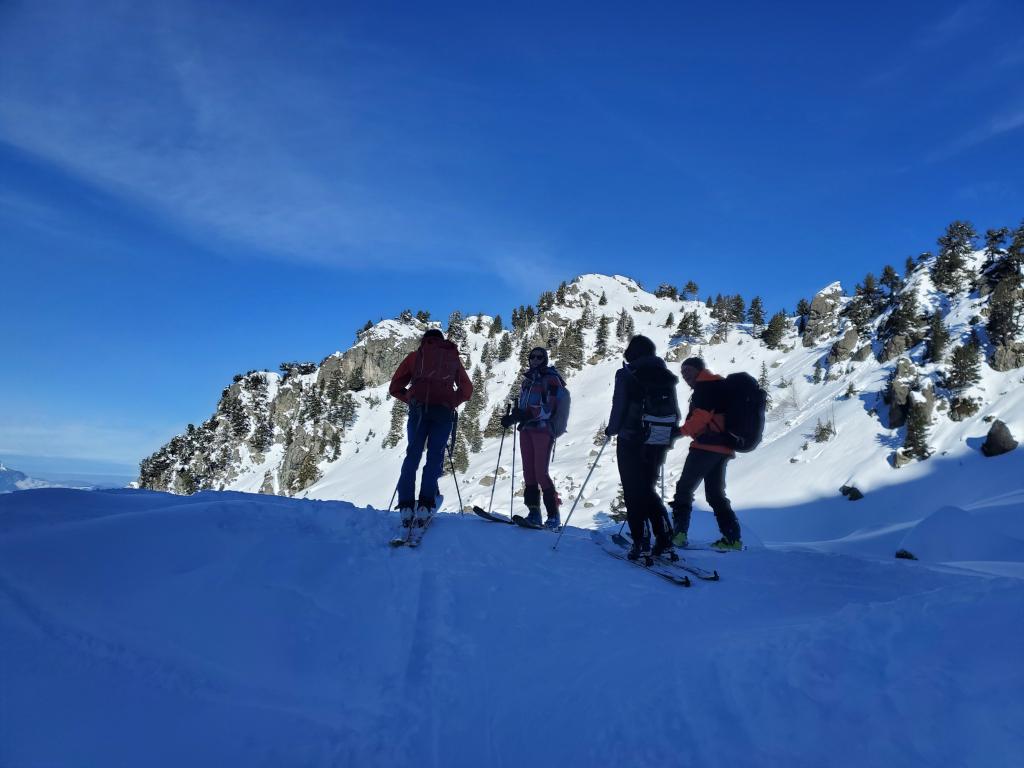 photo 260301037_121c