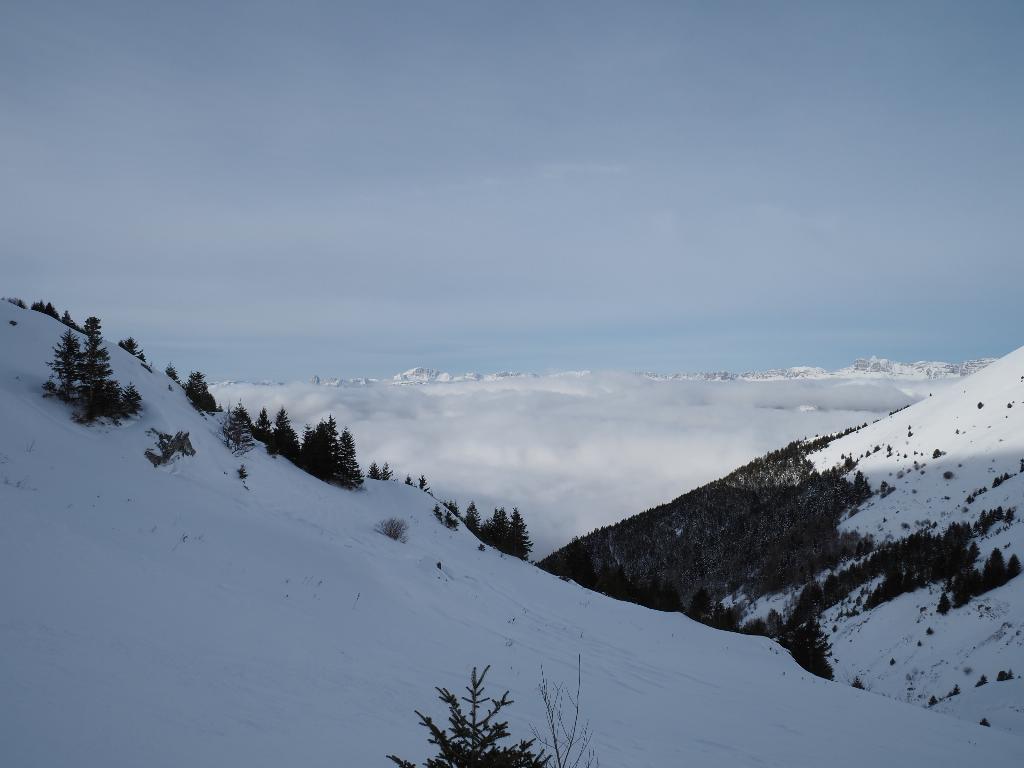 photo 260315129_129a