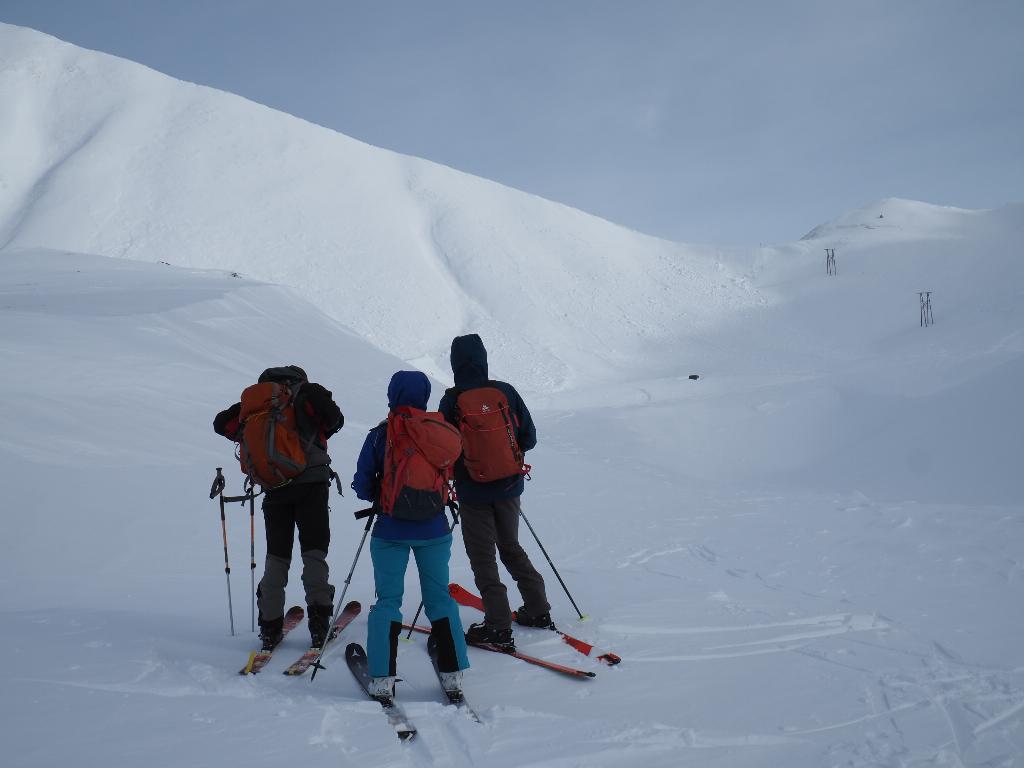 photo 260315129_129b