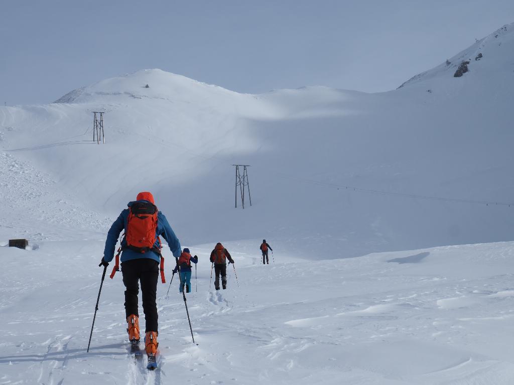 photo 260315129_129c