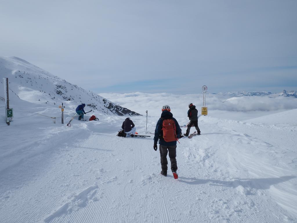 photo 260315129_129d