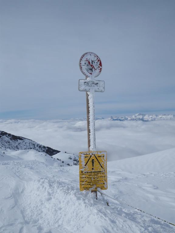 photo 260315129_129e