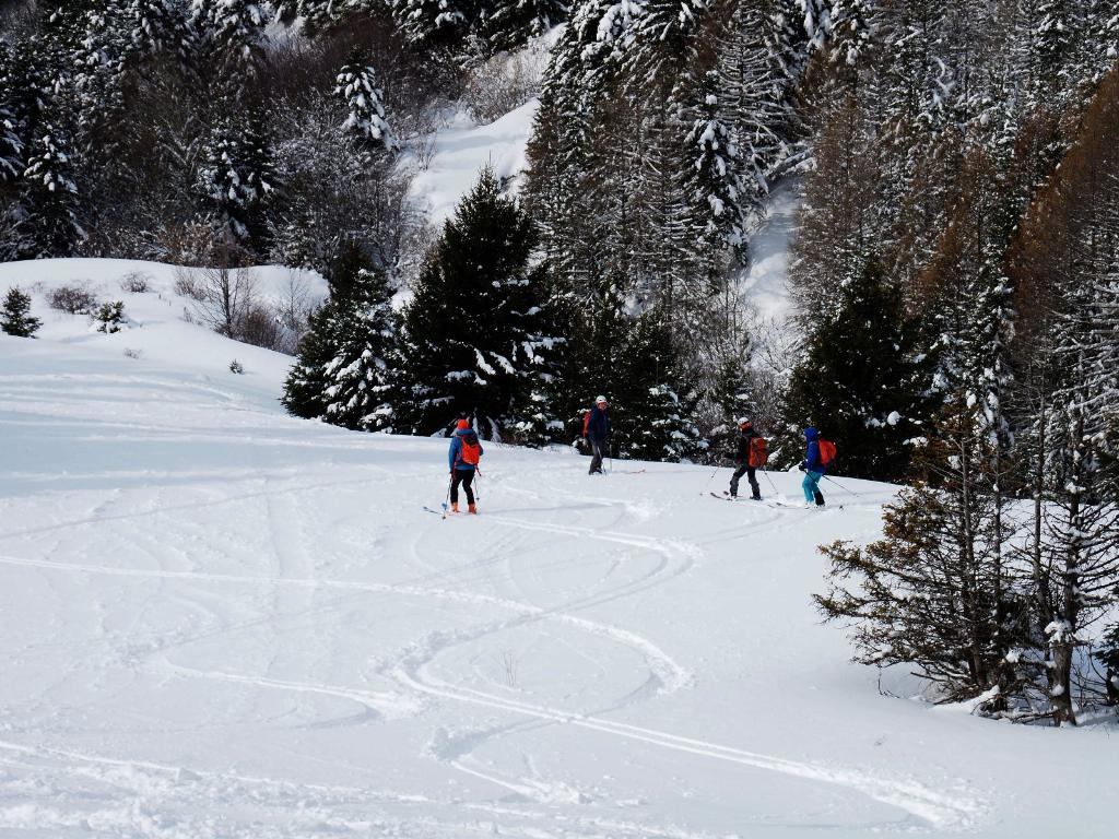 photo 260315129_129f