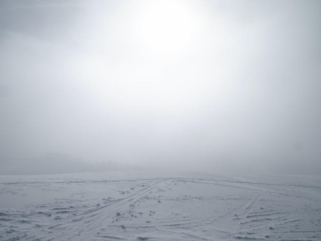 photo 260321129_129a