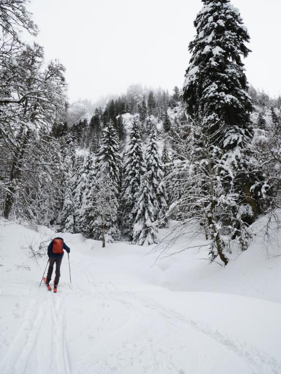 photo 260321129_129b