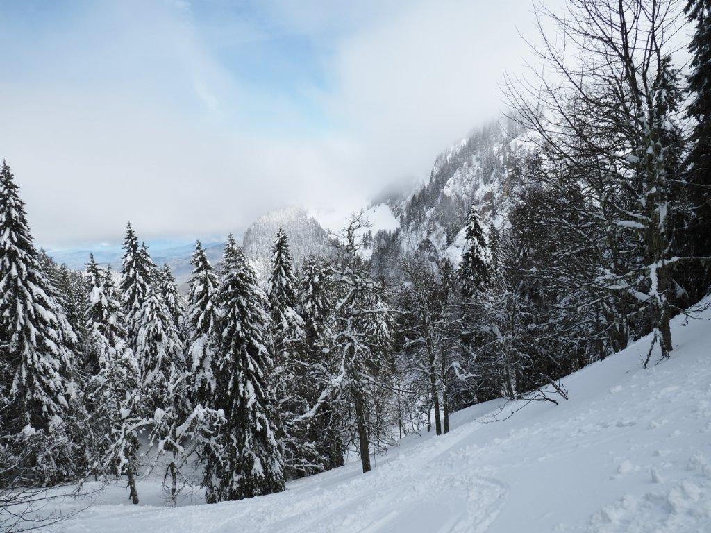 photo 260321129_129c