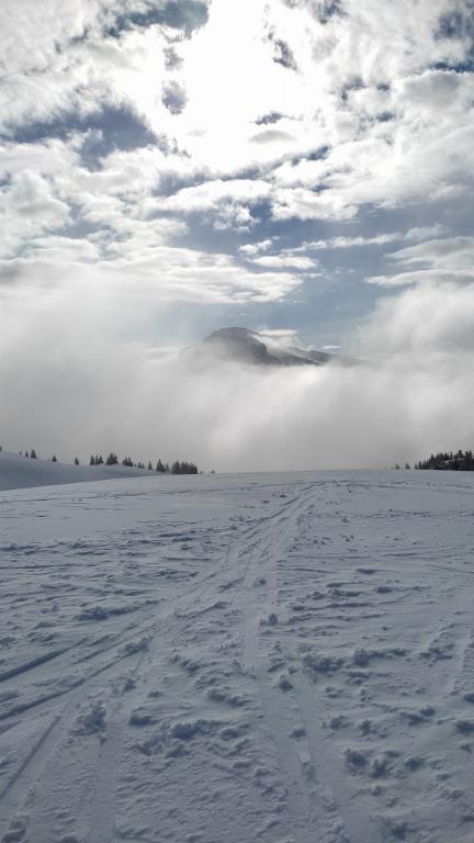 photo 260321129_363c